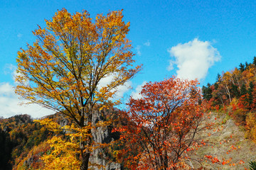 定山渓 豊平峡の紅葉