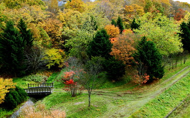 北海道、札幌近郊の秋の風景