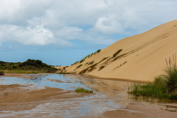 Fototapeta na wymiar Giant sand dunes at Te Paki on the 90 Mile beach