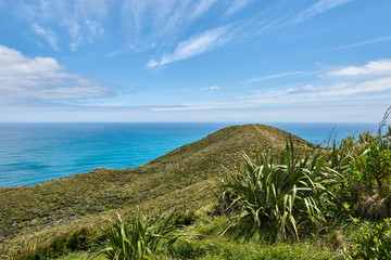 Scenic views of beautiful landscape at Cape Reinga - 230173423