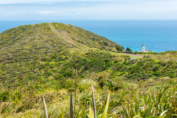 Scenic views of beautiful landscape at Cape Reinga