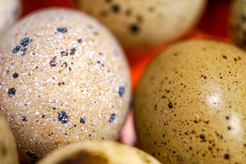 macro eggs 