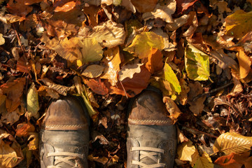Damen-Boots in feuchtem Herbstlaub