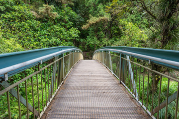 A metal pedestrian footbridge amidst thick green foliage