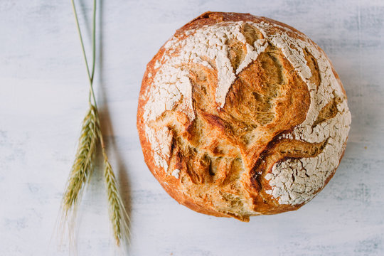 Mediterranean bread an wheat on a white background called pan de payes or pa de pages.  Spanish round bread typical from Catalonia