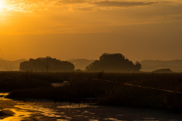 Sunrise in swamp