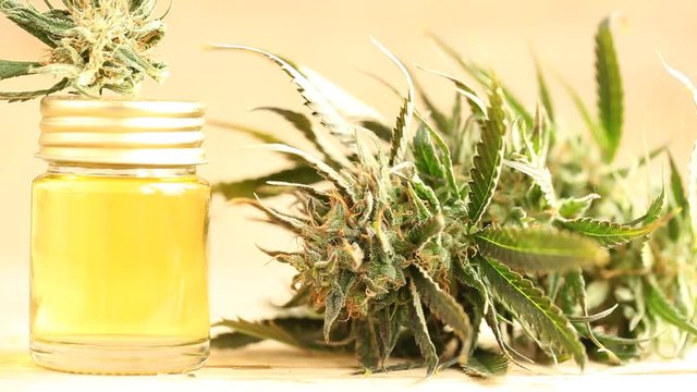 marijuana medical cannabis oil cbd