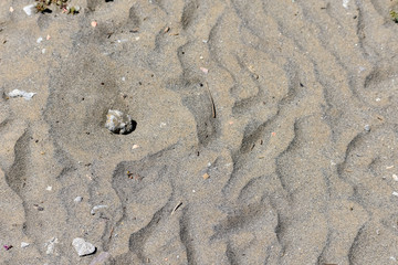 Sandy Coast