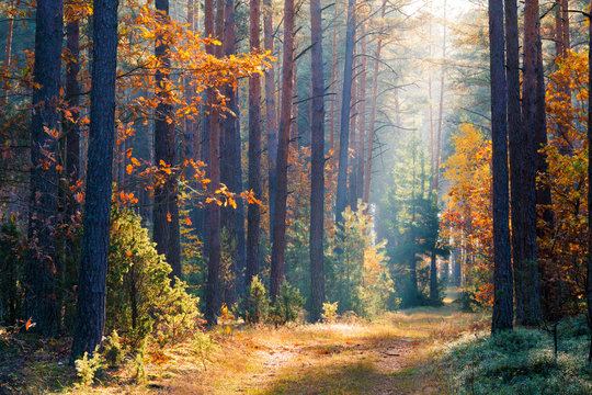 Fototapeta Clean environment
