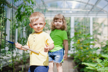 Cute toddler boy and girl working in the greenhouse