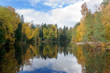 Fototapeta na wymiar The bright autumn wood is reflected in the lake