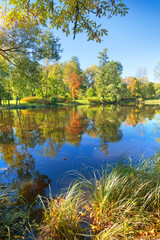 The bright autumn wood is reflected in the lake