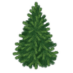 Naklejka premium Christmas tree isolated on white background. Sketch for greeting card, festive poster or party invitations.The attributes of Christmas and New year. Vector illustration.