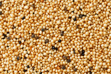 Jasmine brown rice closeup. Organic grain texture