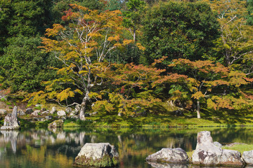Autumn's coming, colourful trees season changed in Ginkaku-ji temple, famous travel destination in...