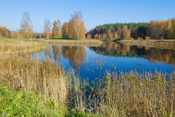A sunny October day on the Hannibal pond. Petrovskoe, Pskov region. Russia