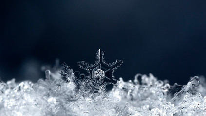 snowflake in the snow, winter
