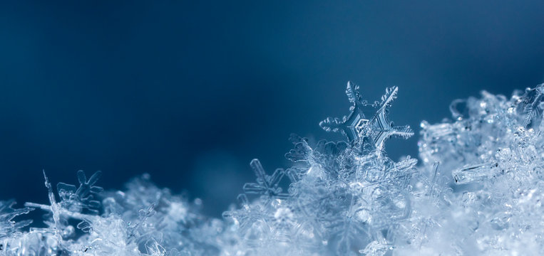 snowflake in the snow, winter
