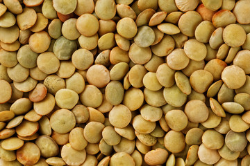 Lentils. Lentils background. Green lentils pattern. Natural organic lentils for healthy food