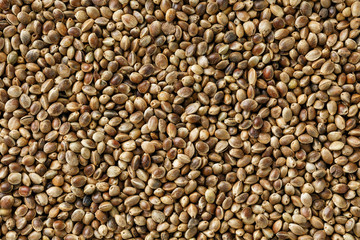 Hemp seeds. Close up. Space for text.
