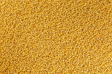 Yellow millet background. Healthy grains vegetarianism, Macro