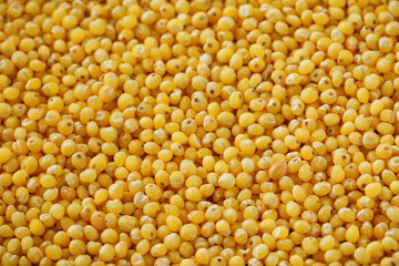 Yellow millet background. Healthy grains vegetarianism, Macro