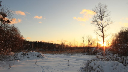 冬だ 地域モスクワ。