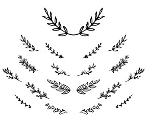 Fototapeta premium set hand-drawn doodle laurel branches