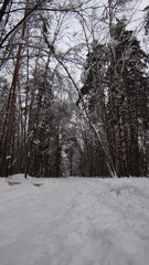 冬だ 地域モスクワ。