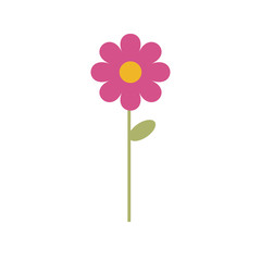 Simple vector of a pink and yellow daisy with a branch and green leaves.