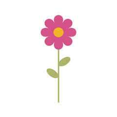 Simple vector of a pink and yellow daisy with a branch and green leaves.