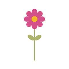 Simple vector of a pink and yellow daisy with a branch and green leaves.