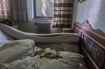 katze in einem hotelbett