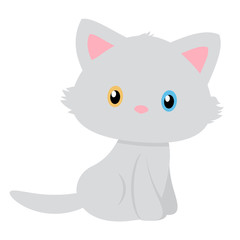 Vector of a simple and pretty gray cat with different colored eyes.