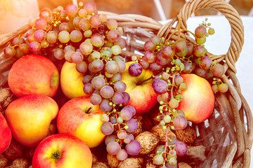 Sunny fruits in wooden basket on the table. Fresh organic grapes and apples. 