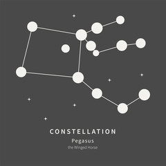 The Constellation Of Pegasus. The Winged Horse - linear icon. Vector illustration of the concept of astronomy.