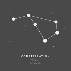 The Constellation Of Volans. The Flying Fish - linear icon. Vector illustration of the concept of astronomy.