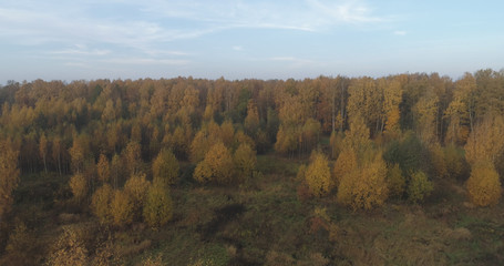 Aerial view over autumn rural landscape with field and forest in the morning