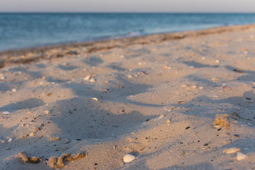 Calm beach in the morning light. Empty coastline. Tropical travel concept. Seashore at sunrise. Summer beach in sunlight. Peaceful place background. 