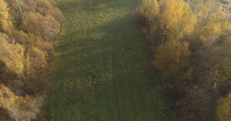 Aerial view over autumn rural landscape with field and forest in the morning