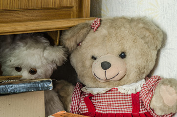zwei teddybaeren in einem zimmer
