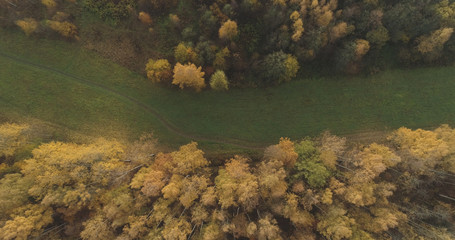 Aerial top view over field and autumn forest in the morning