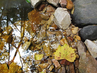 Obraz premium Nature background with water reflection, rocks and fallen leaves