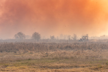 A large fire in the cane fields in the nature reserve
