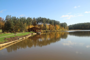 lake in the forest