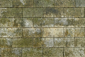 The texture of stone walls. Moss brick texture