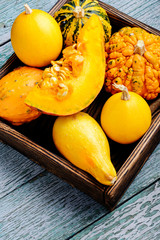 Autumn pumpkin in box