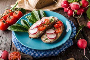 Homemade bread with fresh creame, herbs and radishes