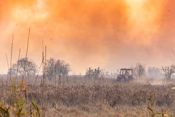 A large fire in the cane fields in the nature reserve