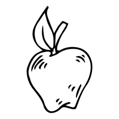 Apple icon. Vector illustration of an apple. Hand drawn apple logo.